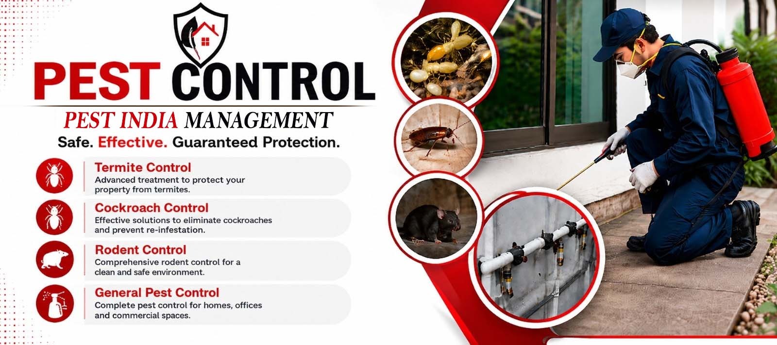 Pest India – Professional Pest Control Services