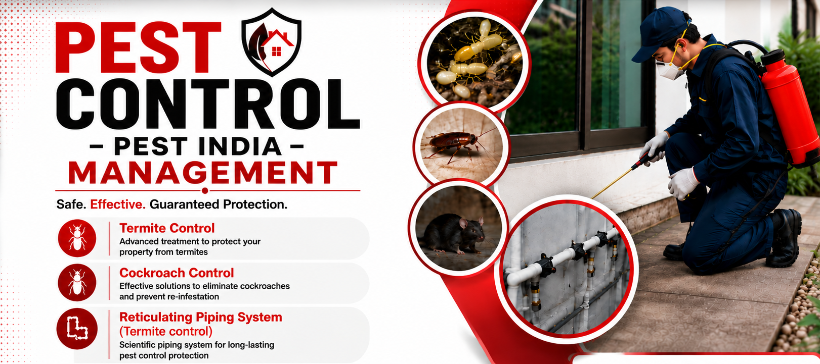 Pest India – Professional Pest Control Services